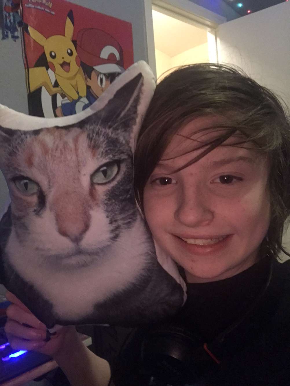 Silus and Kitterson Pillow.