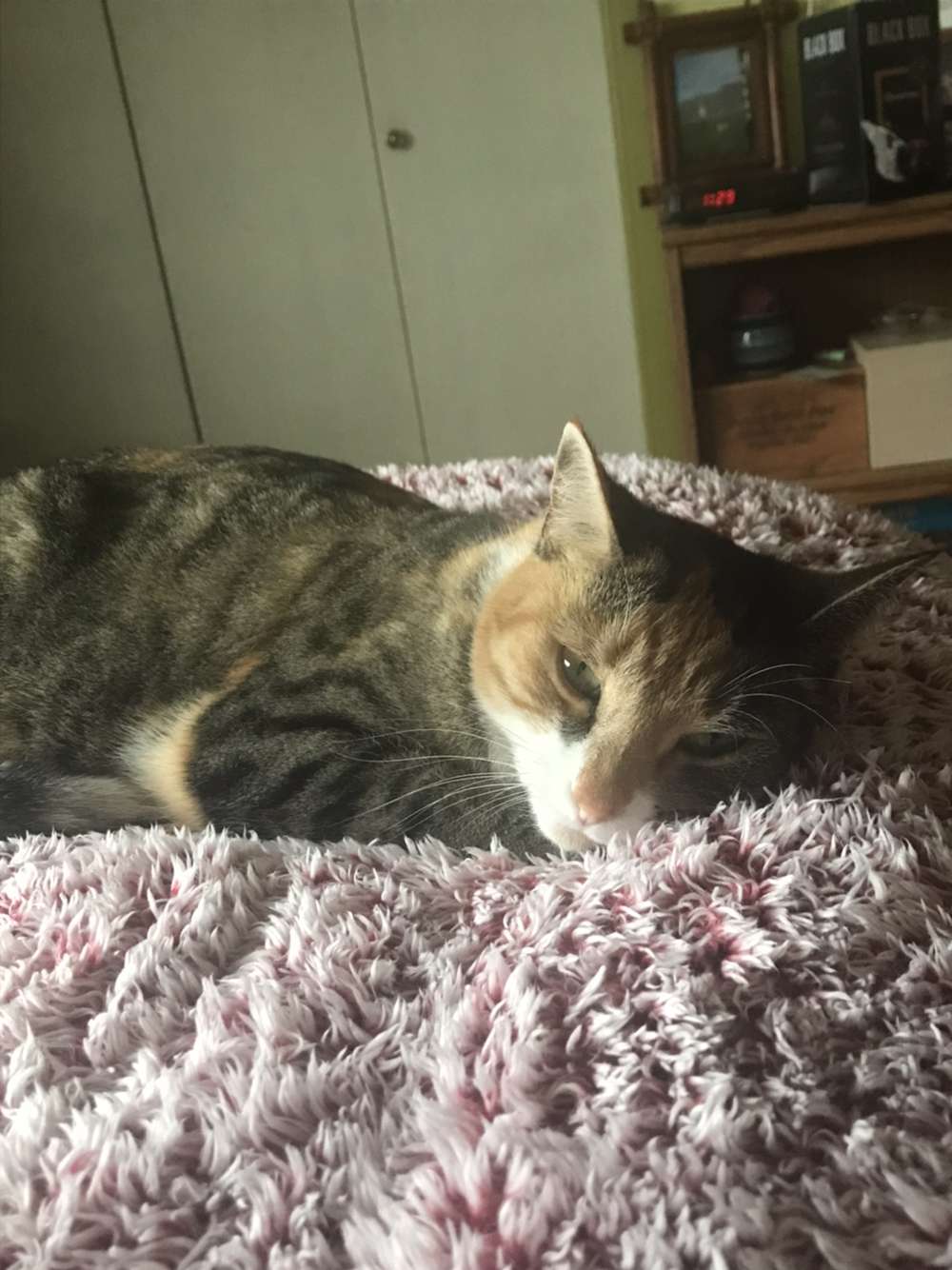 Kitterson almost asleep.